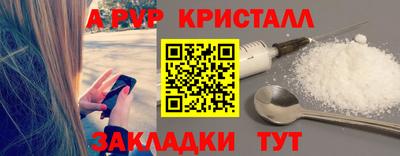 СК Рыбинск